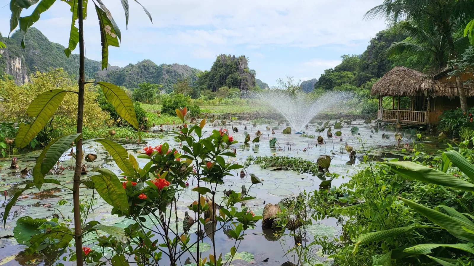 Lotus pond, karst mountains and a bamboo hut at Tam Coc, Ninh Binh